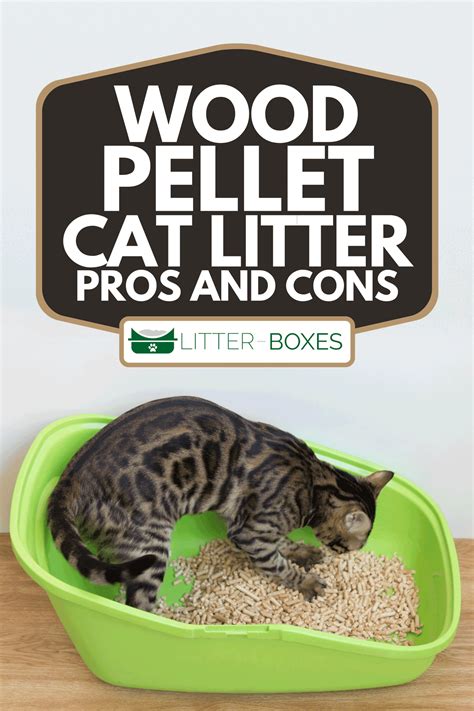 Wood Pellet Cat Litter Pros And Cons Litter Boxes Magazine