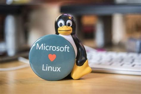 Microsoft Lança Distribuição Linux Baseada No Debian Pplware