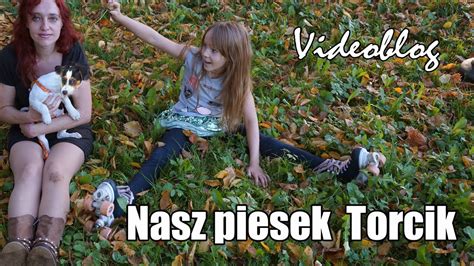 Nasz Piesek Torcik Videoblog YouTube