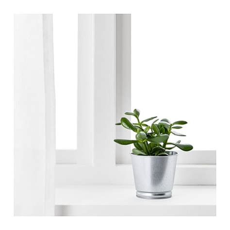 [NEW] Pot Tanaman IKEA BINTJE Tempat Bolpen Pulpen Sendok Bunga PLANT