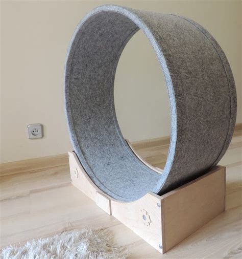 Draw a line along the inner edge of one circle, cut out the center of that circle, then sand all cut edges smooth. Cat Toys - Reel - a treadmill for your cat, dog or a rabbit. - a unique product… | Diy dog stuff ...