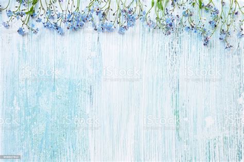 Spring Background Blue Forgetmenot Flowers On Pastel Background Copy Space Top View Holiday