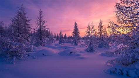 Pin by Demi 🌸 on landscapes | Scenery wallpaper, Winter landscape, Snow ...