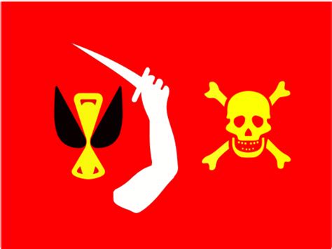 Famous Pirate Flags Beyond The Skull And Crossbones Owlcation