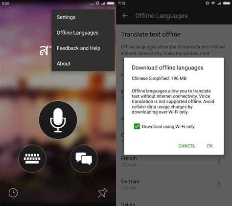 Configure Microsoft Translator For Android For Offline Use Ghacks