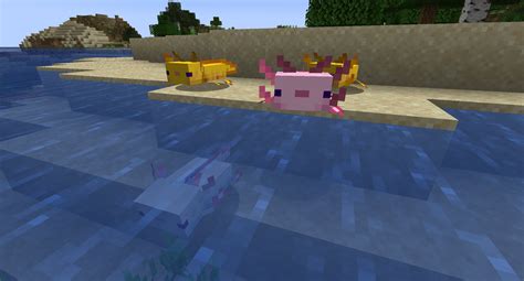 How To Breed Axolotl In Minecraft 1 17 Caves Cliffs U