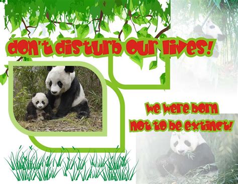 We did not find results for: 8 Poster Bahasa Inggris Tentang Lingkungan Dan Pendidikan ...