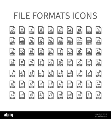 File Type Vector Icons File Format Icon Set Files Buttons Stock