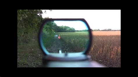 Ruger 1022 Carbine Reflex Sight Red Dot Pov Youtube