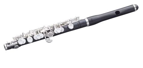 5 Best Professional Flutes Reviewed In Detail Dec 2023
