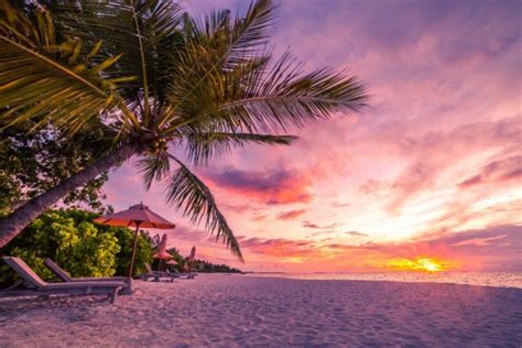 Sunset Tropical Beach Background 3840x2160 Wallpaper