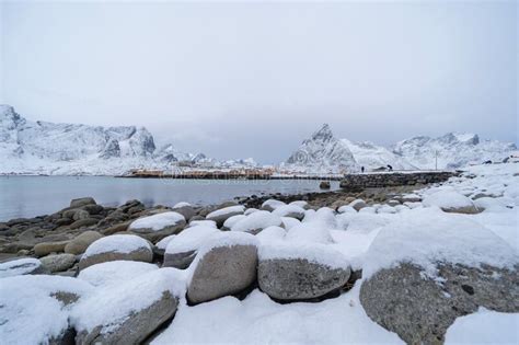 Norwegian Fishing Village In Reine City Lofoten Islands Nordland