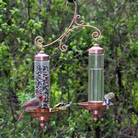 Never feed oranges in traditional hanging bird feeders; Pin on Outdoor Places