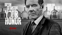 Your Honor - Today Tv Series