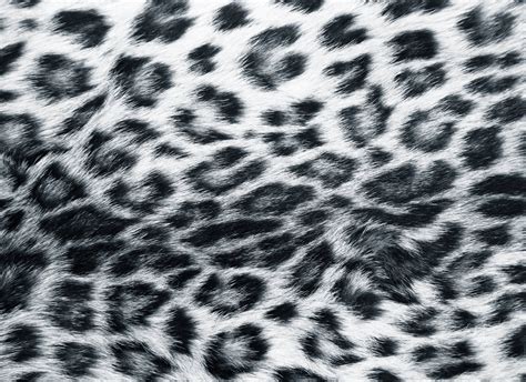 Snow Leopard Backgrounds Wallpaper Cave