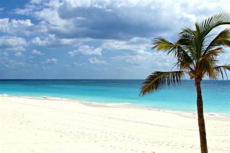 Andis Pick Elbow Beach Bermuda My Beautiful Adventures