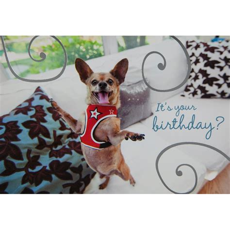 Chihuahua Happy Dance Birthday Greeting Card
