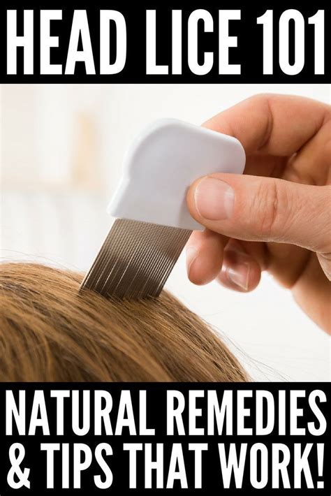 Lice Hacks Natural Remedies For Head Lice That Actually Work Head