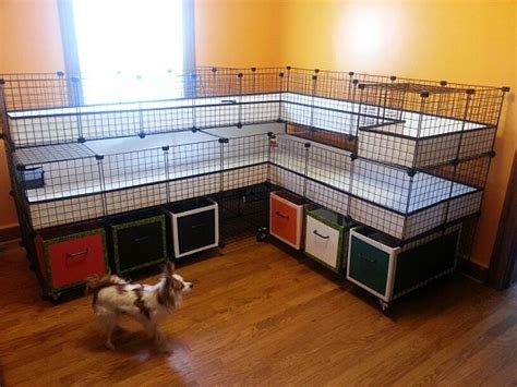 Fancy Guinea Pig Candc Cage
