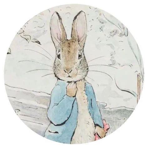 一只全世界最出名的兔子和她的创作者 波特 彼得兔 毕翠克