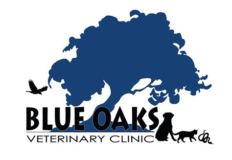 Blue Oaks Veterinary Clinic Roseville Ca Veterinarian