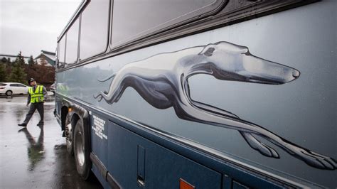 Greyhound Canada Suspends All Bus Routes Amid Coronavirus Pandemic