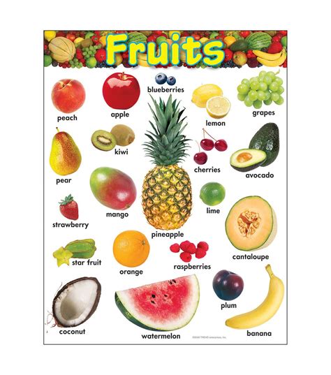 Fruits Learning Chart 17x22 6pk Joann In 2020 Fruit Vegetable