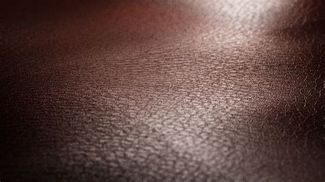 A Test Render For A Leather Texture Im Working On Rblender