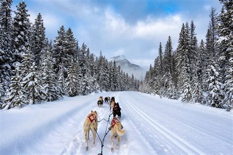 Things To Do In Banff In Winter 20 Unforgettable Activities The