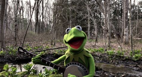 The Muppets Release Video Of Kermit The Frog Social Distancing In The