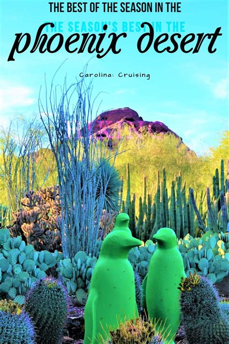 Christmas tree stands all departments alexa skills amazon devices amazon global store amazon pantry amazon warehouse. Three places make #Phoenix special this #Christmas # ...