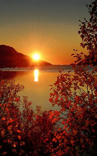 Sea Sunset In Autumn Paysage Romantique Photos Paysage