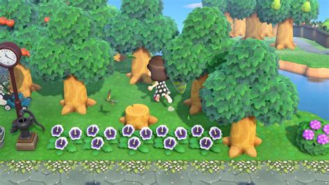 Animal Crossing New Horizons Bugs And Where To Catch Them Gamesradar