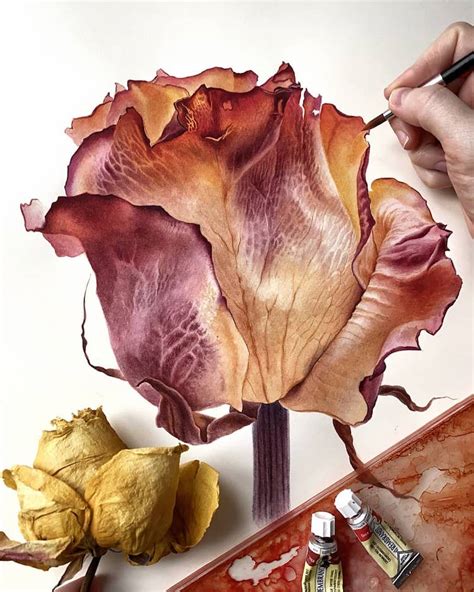 Artist Captures The Delicate Beauty Of Nature In Botanical Paintings