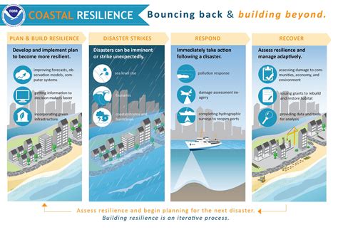 Coastal Resilience Means Bouncing Back
