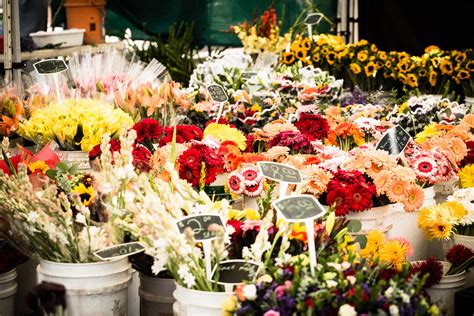 Community farmers market year round: 10 Tips for Shopping at the Farmer's Market