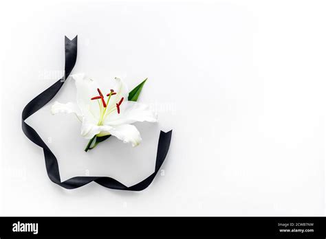 Tarjeta De Condolencia Con Lirio De Flores Blancas Desde Arriba Fotografía De Stock Alamy