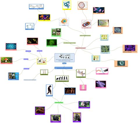 Mapa Mental Seres Vivos Edubrainaz