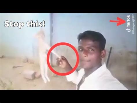 The nepali laws as it currently stands don't allow it, plus the central bank. Why TIKTOK should be BANNED in INDIA! Seriously! - YouTube