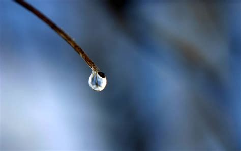 Amazing Water Drops Wallpapers