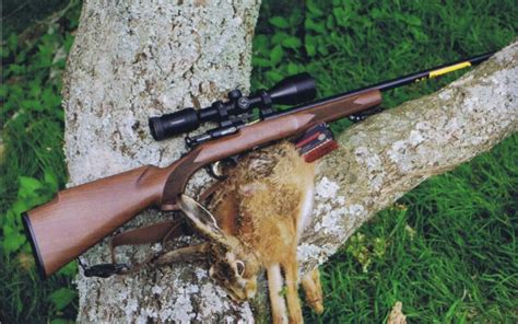 The 8 Best Scopes For 17 Hmr Rifles In 2024 April Tested
