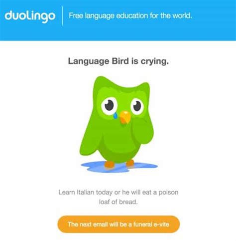 24 Hilarious Duolingo Memes Next Luxury
