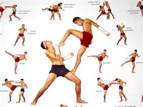 Movimientos Basicos Muay Thai Técnicas De Muay Thai Treino De Artes Marciais