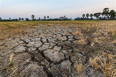 Unccd Cop14 Droughts Most Disastrous For Agriculture