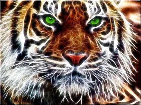 Stunning Fractal Tiger Amazing Nature Tiger Love Wild Kingdom