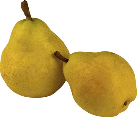 Pear Png Pic Png Arts