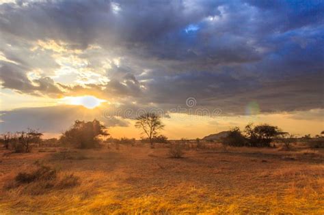 Serengeti National Park In Northwest Tanzania Stock Photo Image Of