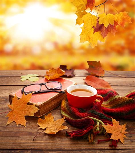 Autumn Leaves Book And Cup Of Tea On Wooden Table Autumn Mood
