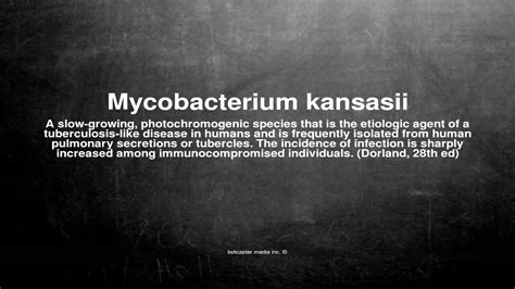 Medical Vocabulary What Does Mycobacterium Kansasii Mean Youtube