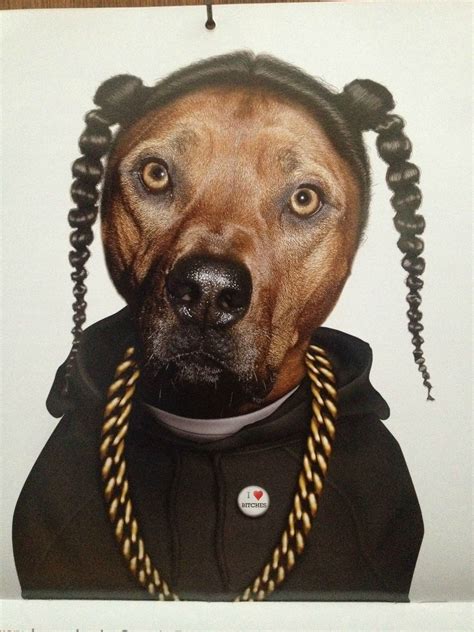 Snoop Dogg Dog Snoop Dog Funny Dogs Snoop Dogg